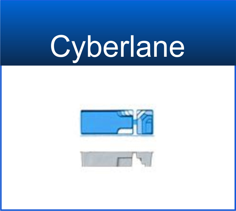 Cyberlane $49,095